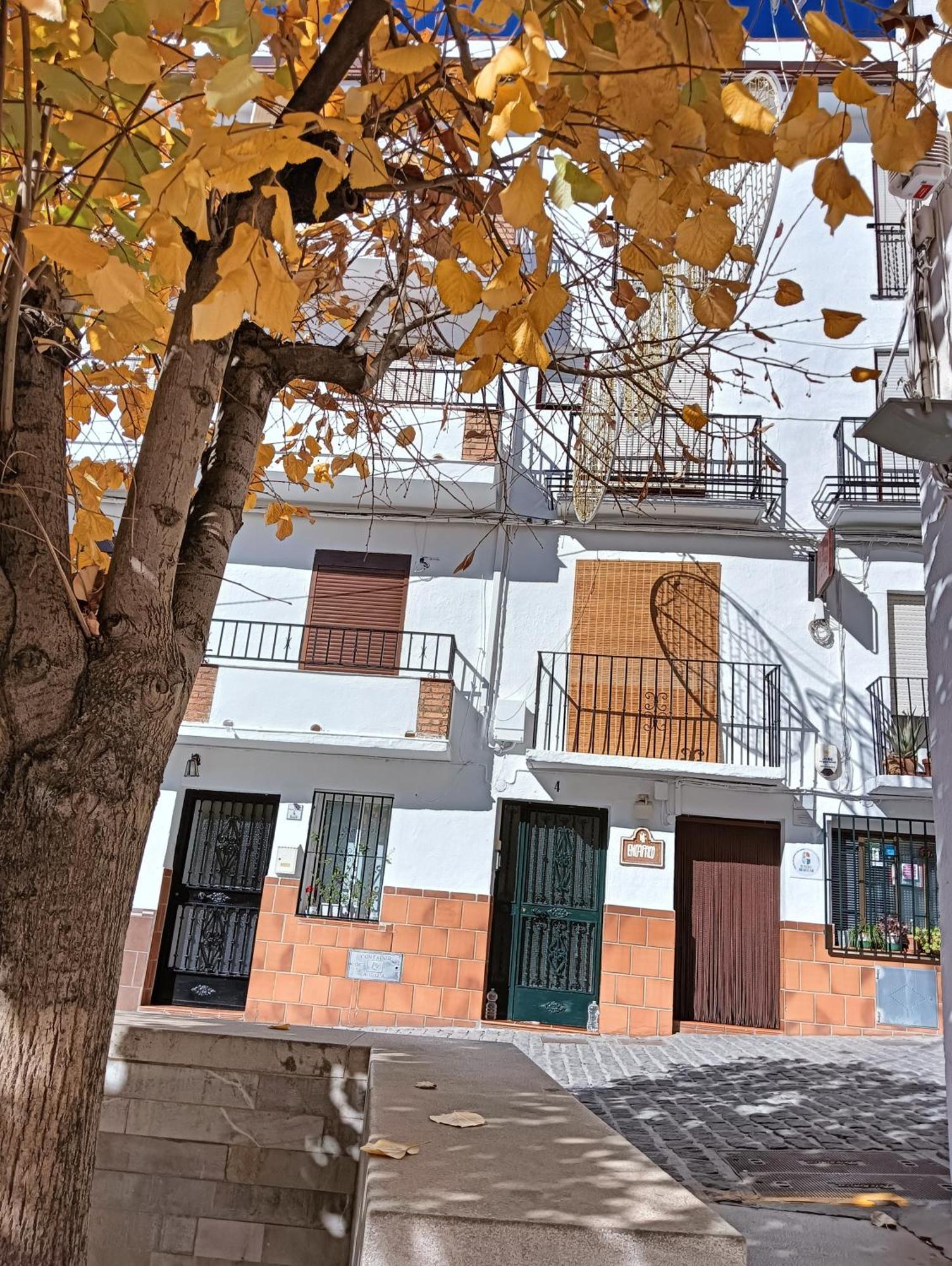 Apartamento La Casa De La Plaza Güéjar Sierra Exterior foto